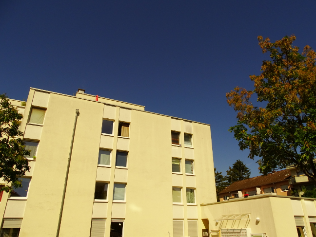 WEG in Bonn, 68 Apartments